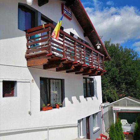 Вилла Vila Darian Буштени Экстерьер фото